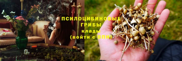 спиды Сафоново